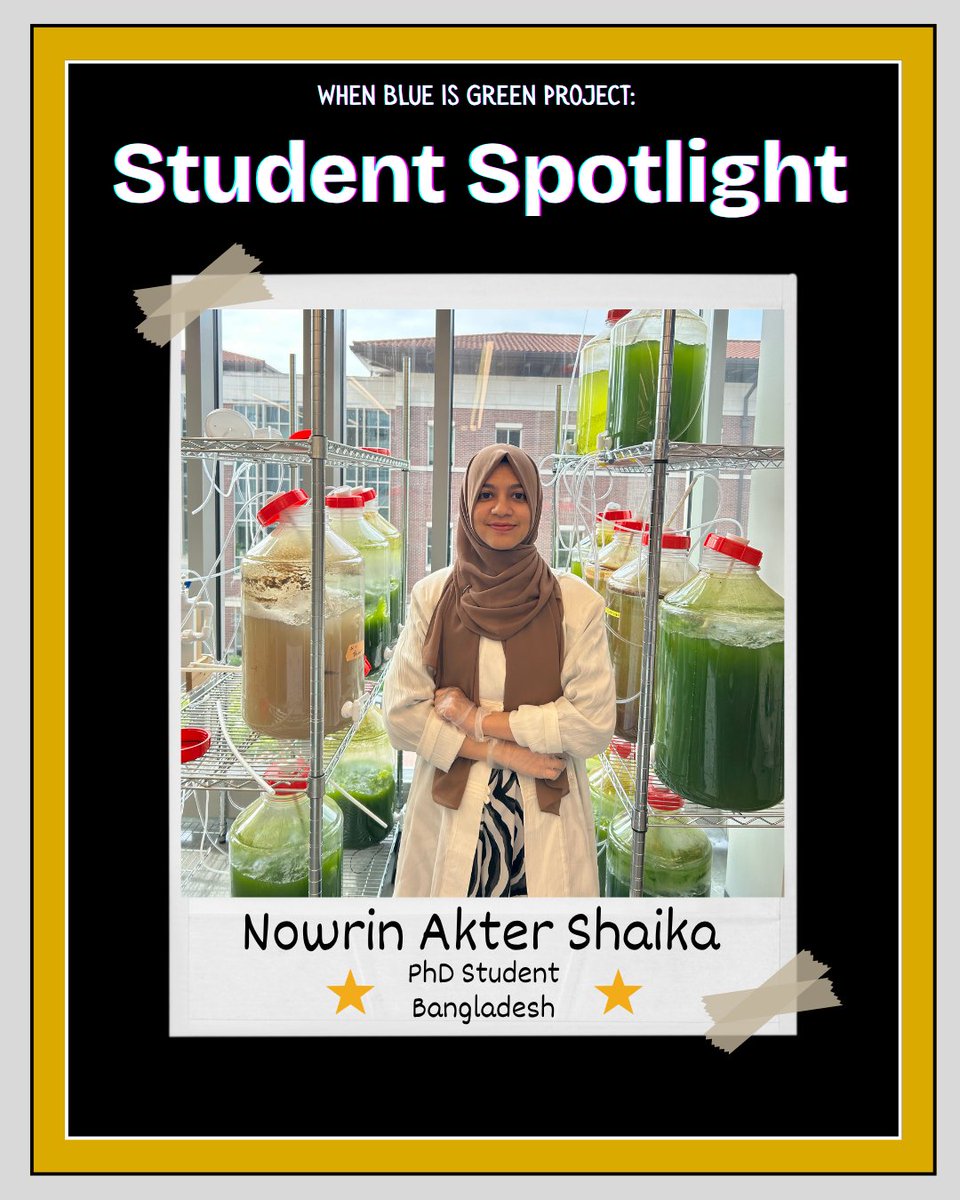 When Blue is Green Project tweet media