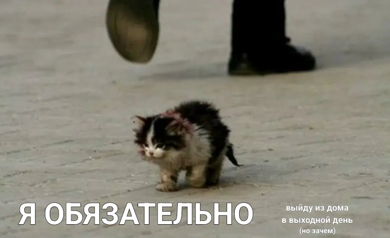 за июль я выходила из дома 3 раза и все 3 на работу