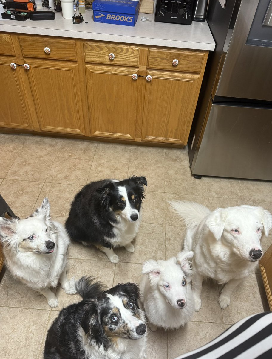 shawn rogers tweet media