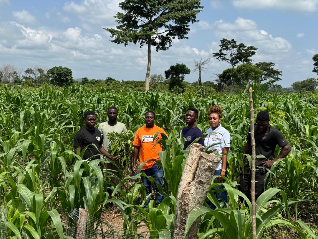 epa_koforidua's tweet photo. 4/4🌿
empowerment.
🛑 Together, we can protect the land that sustains us.
👇 How can communities help protect their local environments? Let us know below!
#EPAinAction
#GLRSSMP
#SustainableLandUse
#ProtectOurEnvironment
#LandscapeConservation
#EnvironmentalAwareness https://t.co/HdGqw6IzEv