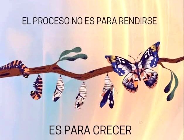 #MartesDeMotivación 💥 💯 👍🏼 🫶🏼 #FelizMartes 🦋 🌈 💓 🌼 🌷 📘🖊️📌 #NeverGiveUp 😎💥💯👍🏼🫶🏼🦋🐛🦋