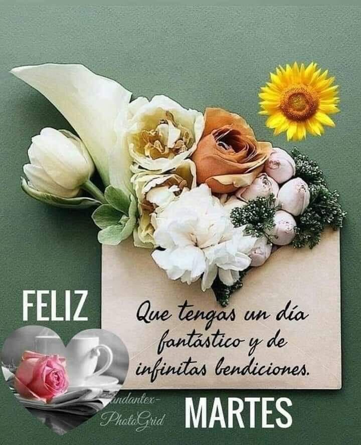 Buenos días amigos excelente martes
SDV 👥