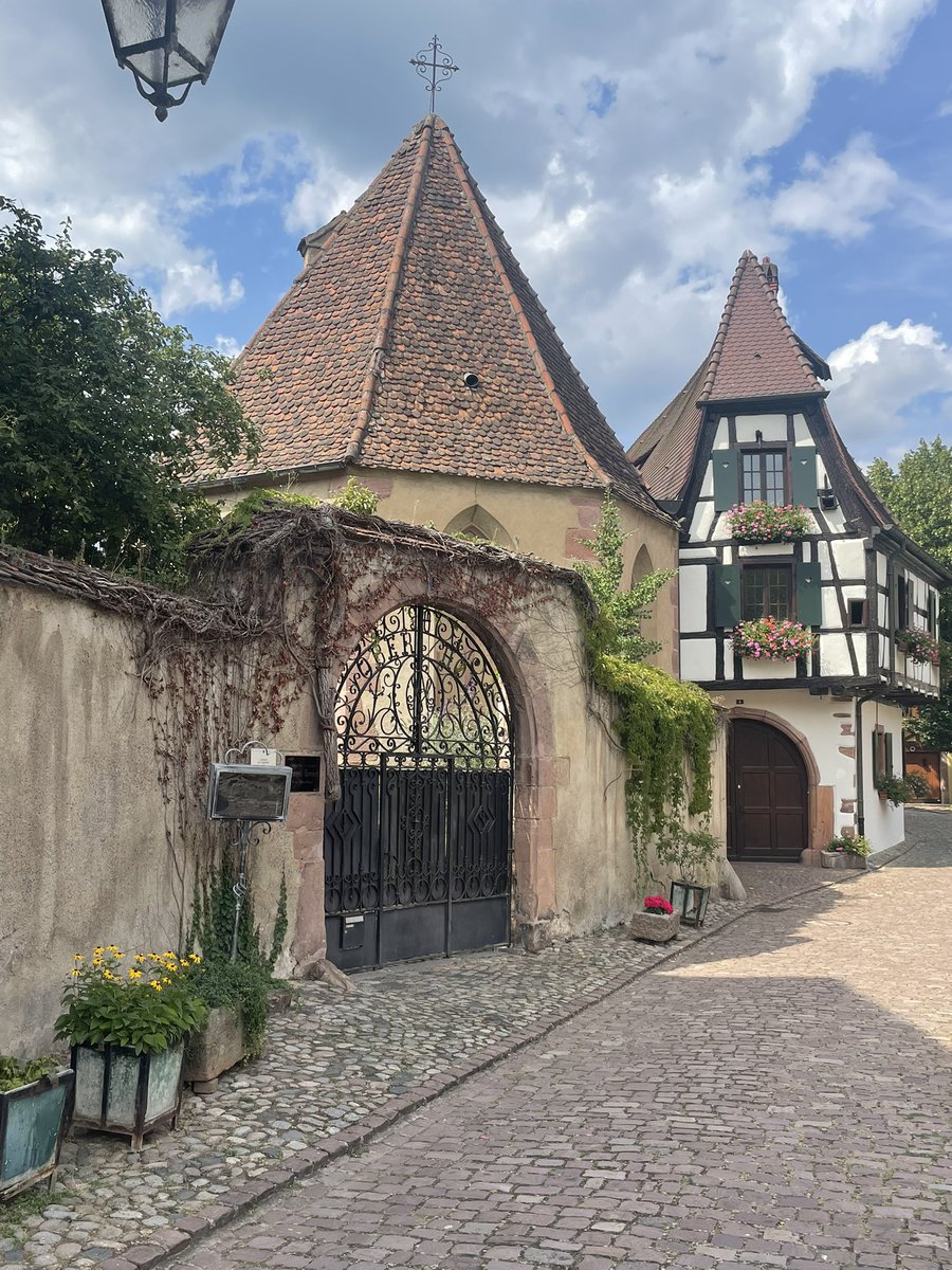 Kaysersberg (Elsass), Geburtsstadt Albert Schweitzers. 🌺