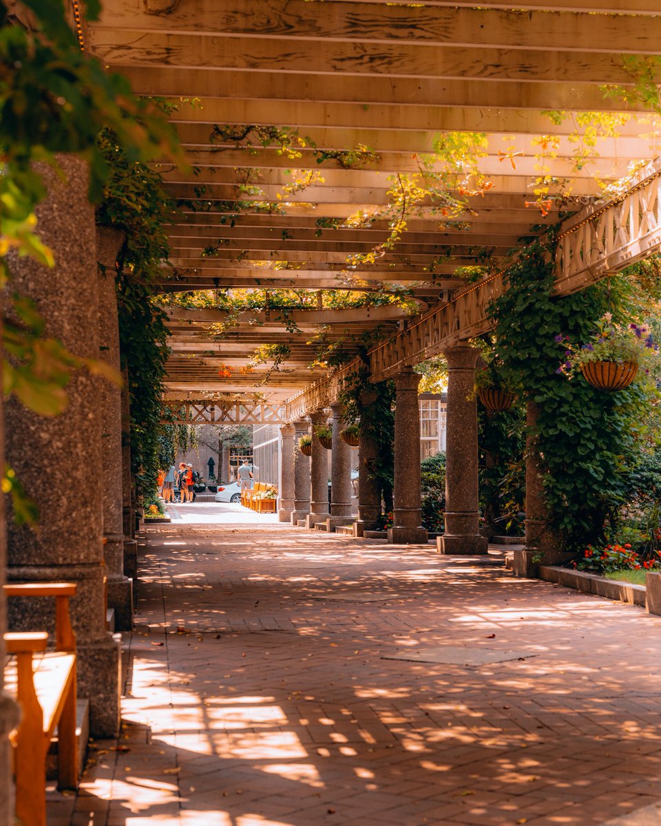 OpticalMD's tweet image. Boston sunny days for the WIN 🙌
@BostonDotCom @SonyAlpha