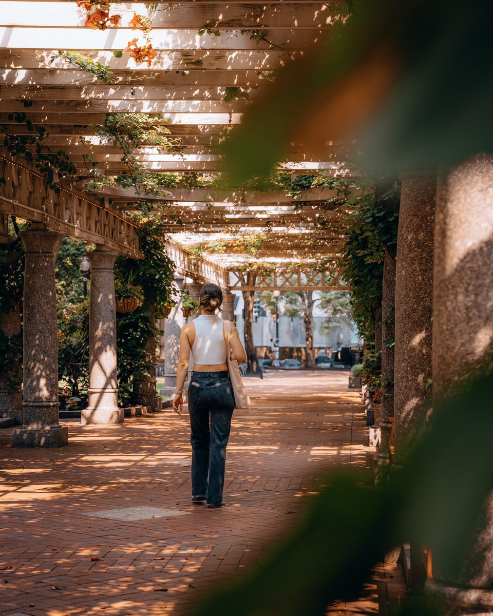 OpticalMD's tweet image. Boston sunny days for the WIN 🙌
@BostonDotCom @SonyAlpha