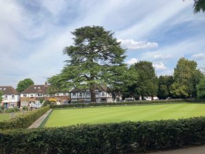 Teddington_Town (@teddington_town) on Twitter photo TEDDINGTON'S GROVE GARDENS AWARDED GREEN FLAG -  teddingtontown.co.uk/2025/07/15/ted… TEDDINGTON'S GROVE GARDENS AWARDED GREEN FLAG -  teddingtontown.co.uk/2025/07/15/ted…