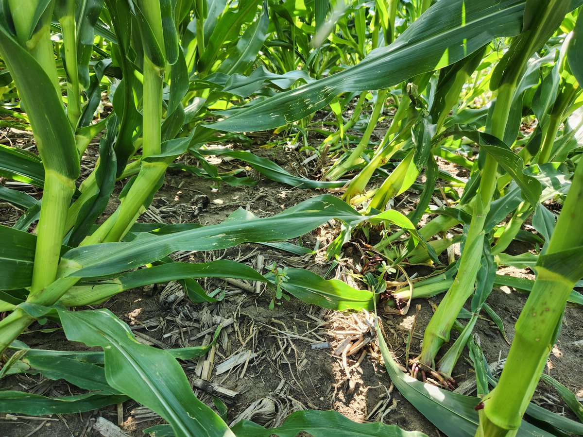 Bruce Potter tweet media