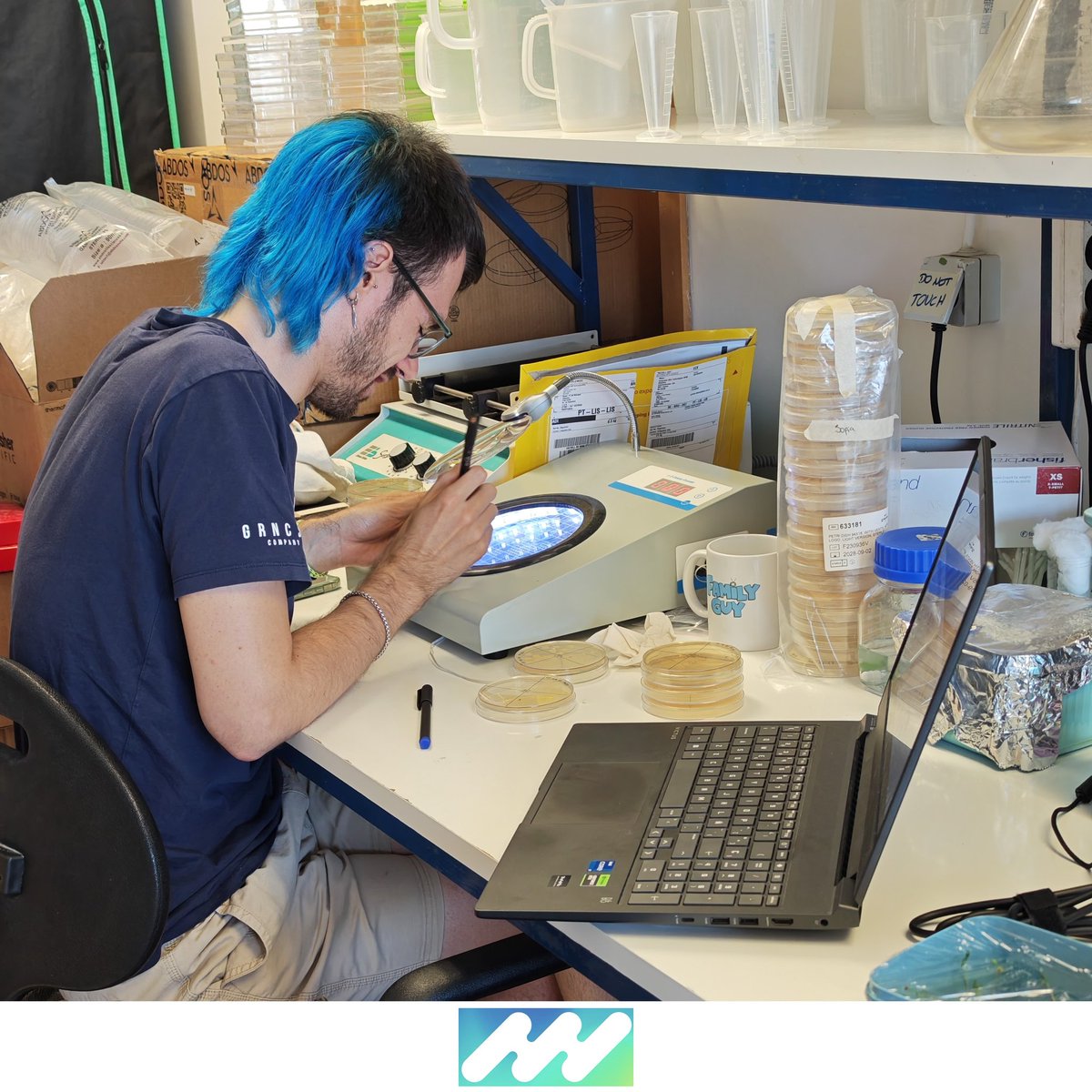 iPlantMicro's tweet image. Very happy to host Isaac Maestro for his PhD international internship! Isaac comes from Reguera's lab at @UAM_Madrid and will work in seed microbiome and root exudates of quinoa and amaranth.This will uncover unique plant-microbe traits. Welcome, Isaac! @itqbnova @greenit_bio4sus