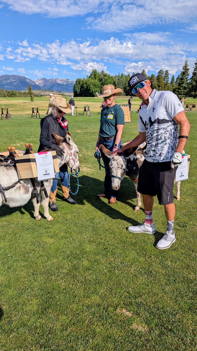 Kids would have loved all the donkeys and horses… wished they were with me