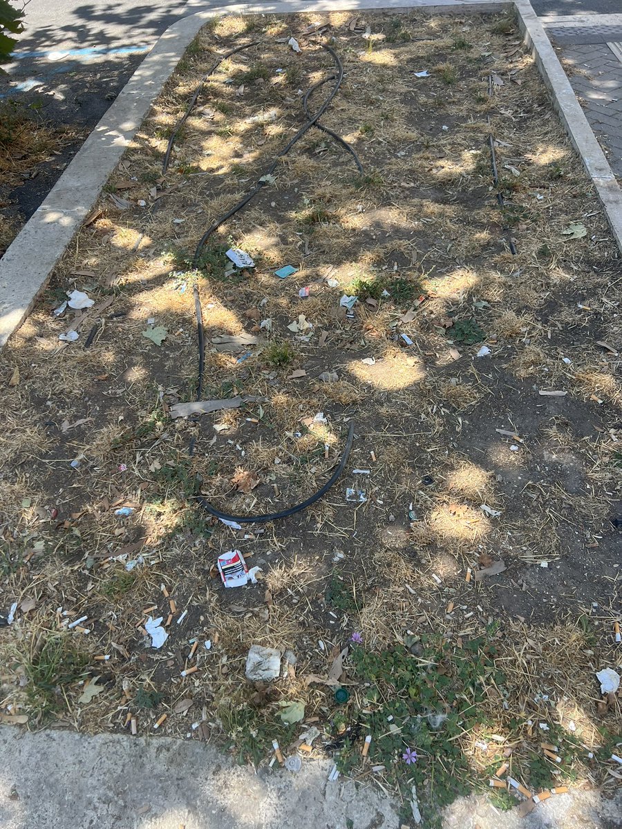 Piero Capitelli (@capitelli_piero) on Twitter photo Ho mandato una mail all’assessore preposto si parla tanto di alberi nuovi piantati e non innaffiati qui e’ peggio e’ stato predisposto un impianto di irrigazione e non funziona viale degli ammiragli <a href="/gualtierieurope/">Roberto Gualtieri</a> <a href="/salviamoroma/">@salviamoroma</a> <a href="/diarioromano/">diarioromano</a> <a href="/leggo/">leggo</a> <a href="/battaglia_persa/">Battaglia persa</a> <a href="/ilpost/">Il Post</a> Ho mandato una mail all’assessore preposto si parla tanto di alberi nuovi piantati e non innaffiati qui e’ peggio e’ stato predisposto un impianto di irrigazione e non funziona viale degli ammiragli <a href="/gualtierieurope/">Roberto Gualtieri</a> <a href="/salviamoroma/">@salviamoroma</a> <a href="/diarioromano/">diarioromano</a> <a href="/leggo/">leggo</a> <a href="/battaglia_persa/">Battaglia persa</a> <a href="/ilpost/">Il Post</a>