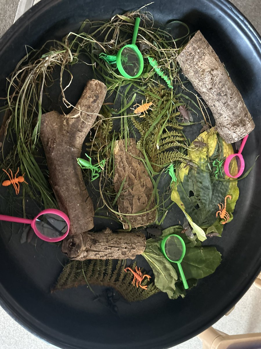 MrsGriffiths7's tweet image. Whatβs lurking in the garden? πππ¦πͺ²ππͺ³π·οΈ#eyfs #bugs #fgarden #earlyyears #tufftrayideas #tuesdaytufftray