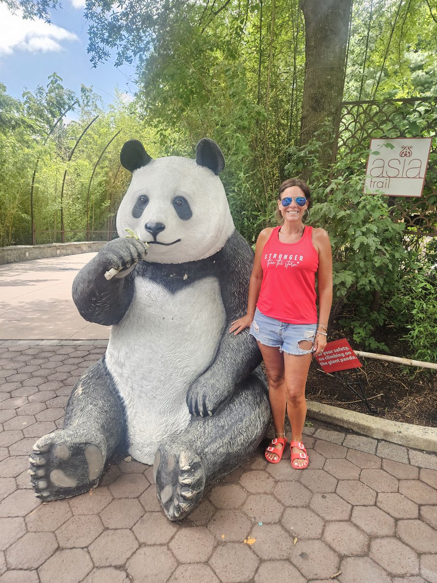 steflynn03's tweet image. Omg!! Best day ever!! After painting almost 3 years, I Finally got to see the #dcpandas. So fun!! #bucketlist