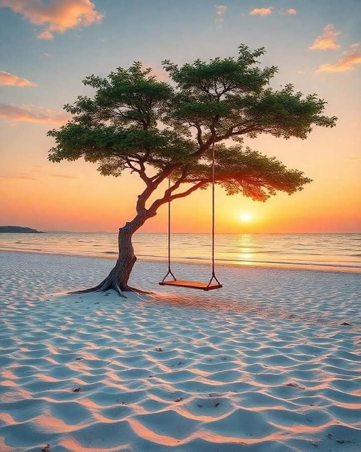 🦋🌺🦋🌺🦋

                Happy Week

                                🦋🌺🦋🌺🦋

#picturepinterest