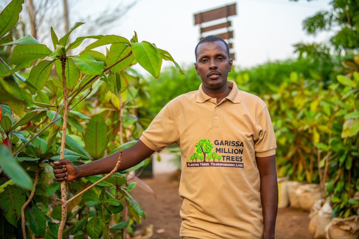 Dear Friends and Partners, This month marks a truly special milestone; 12 years of dedication, resilience and hope as we continue our journey of restoring Northern Kenya Dryland Landscape Restoration. Thanks to your unwavering support,collaboration and passion.