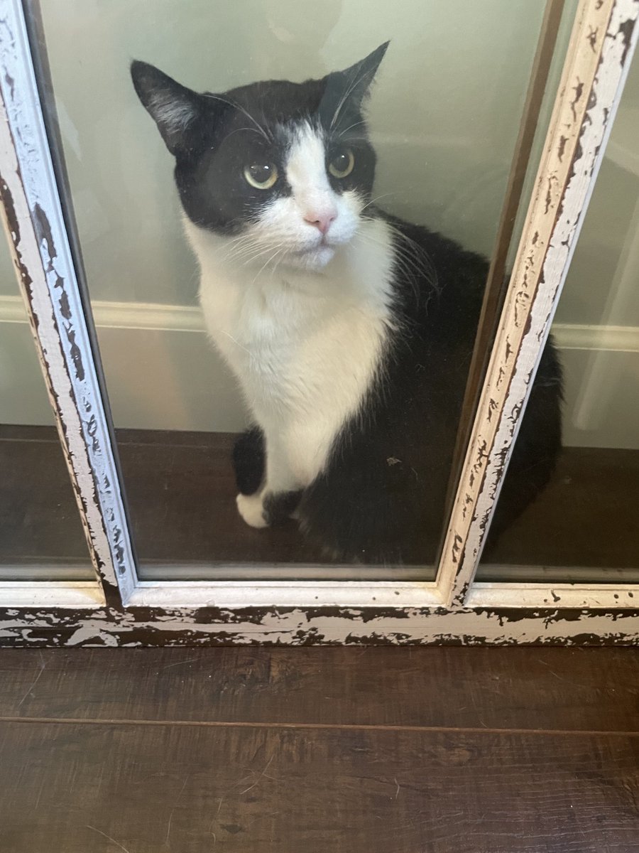 I have a favourite window, 
it sits upon the floor 
I look at stuff and wonder,
and then I look some more.