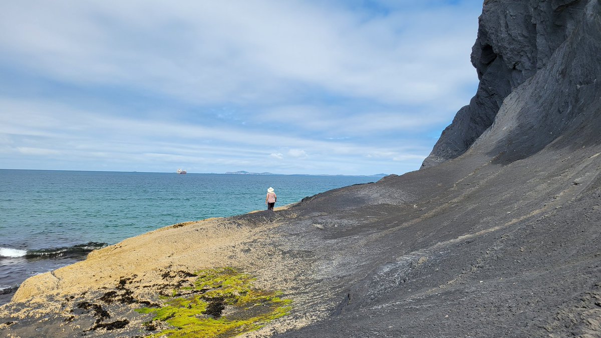 Charlie NJ7V tweet media