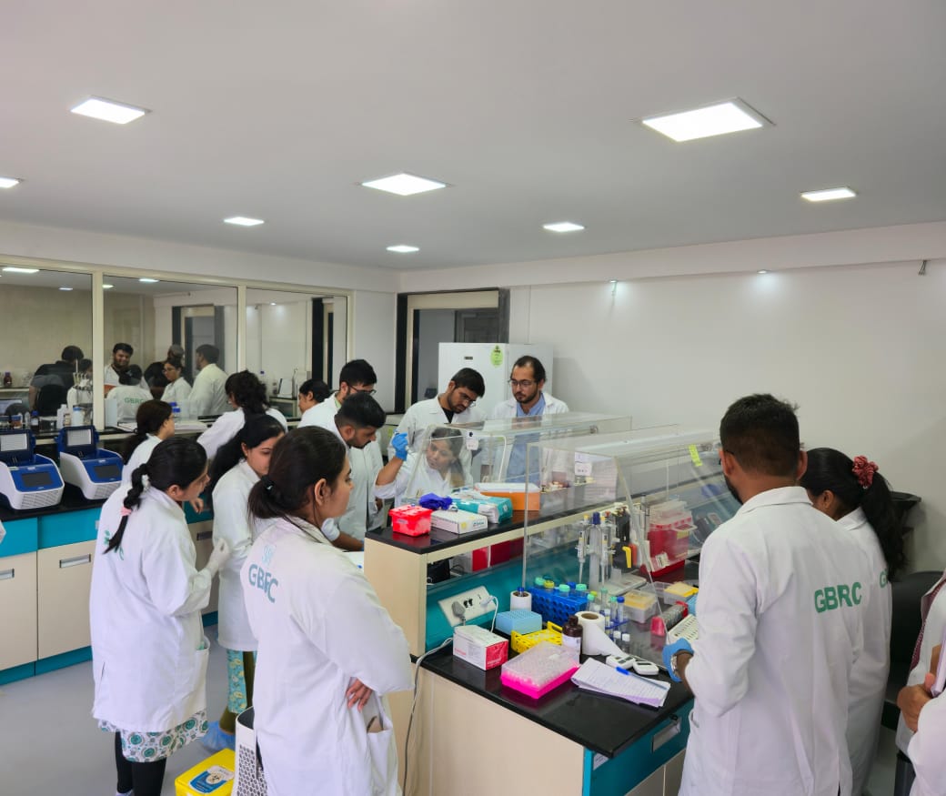 GBRC (@gbrc_gujarat) on Twitter photo Glimpse of day-2 activities of 2 weeks hands-on training program on "Next Generation Sequencing". Jointly organized by <a href="/gbrc_gujarat/">GBRC</a> and Neuberg Center for Genomic Medicine, Ahmedabad.
<a href="/dstGujarat/">Department of Science & Technology, Gujarat</a> <a href="/monakhandhar/">Mona Khandhar IAS</a> <a href="/ChaitanyaGJoshi/">Chaitanya Joshi</a> <a href="/gsbtm/">Gujarat State Biotechnology Mission</a> <a href="/GujBiotechUni/">Gujarat Biotechnology University</a> Glimpse of day-2 activities of 2 weeks hands-on training program on "Next Generation Sequencing". Jointly organized by <a href="/gbrc_gujarat/">GBRC</a> and Neuberg Center for Genomic Medicine, Ahmedabad.
<a href="/dstGujarat/">Department of Science & Technology, Gujarat</a> <a href="/monakhandhar/">Mona Khandhar IAS</a> <a href="/ChaitanyaGJoshi/">Chaitanya Joshi</a> <a href="/gsbtm/">Gujarat State Biotechnology Mission</a> <a href="/GujBiotechUni/">Gujarat Biotechnology University</a>
