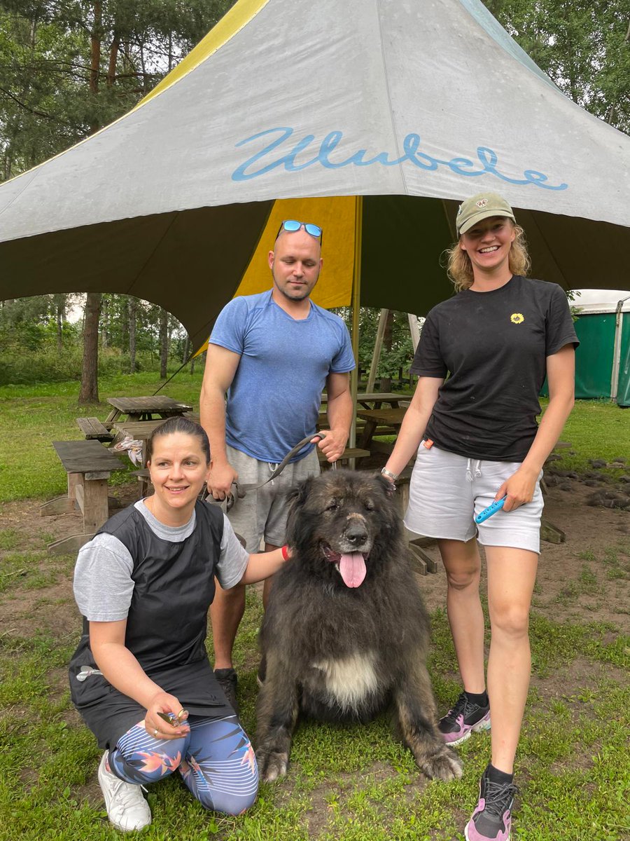 Ulubele's tweet image. Mūsu milzis Tors ( diemžēl ar epilepsiju) šodien padevās Dog SPA grūmeru ķemmēm un šķērēm. Milzu paldies🙏🐾💛