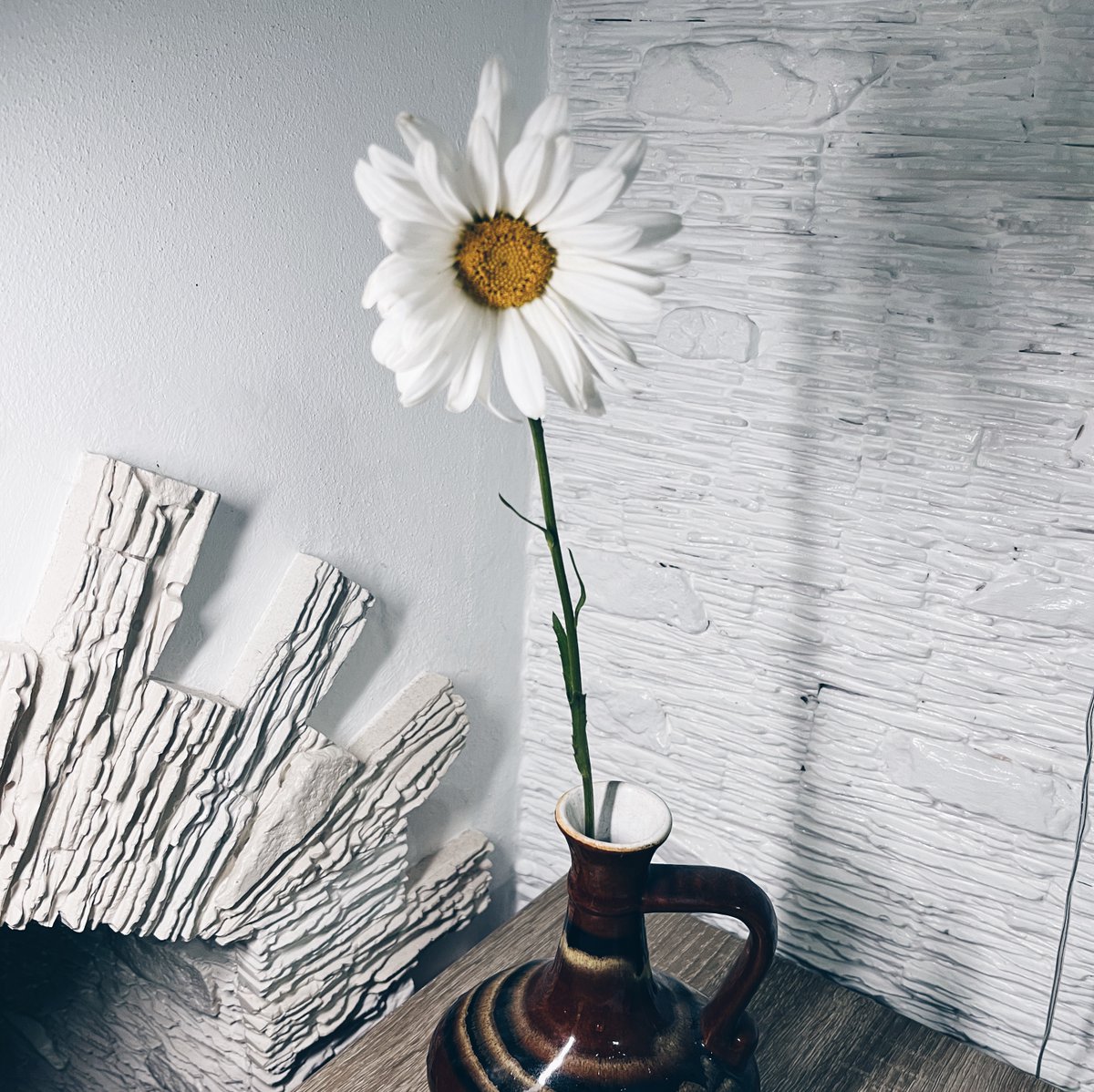 Сиділа на лавці сьогодні, підходить пара: жінка та чоловік. Жінка протягує квітку, посміхається і каже: this is for you... я в ахуї: thanks. Люблю ромашки 💛