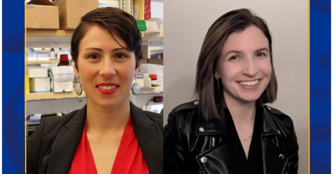 ImmunologyAAI's tweet image. AAI Members in the News! For her graduate thesis with Dr. Marlies Meisel at @Pitt_Medicine, @CatMPhelps found that #exercise improved #cancer outcomes and enhanced responses to #immunotherapy in mice by reshaping the gut #microbiome. Congrats! 

🔗 ow.ly/RIMj50WnXoy