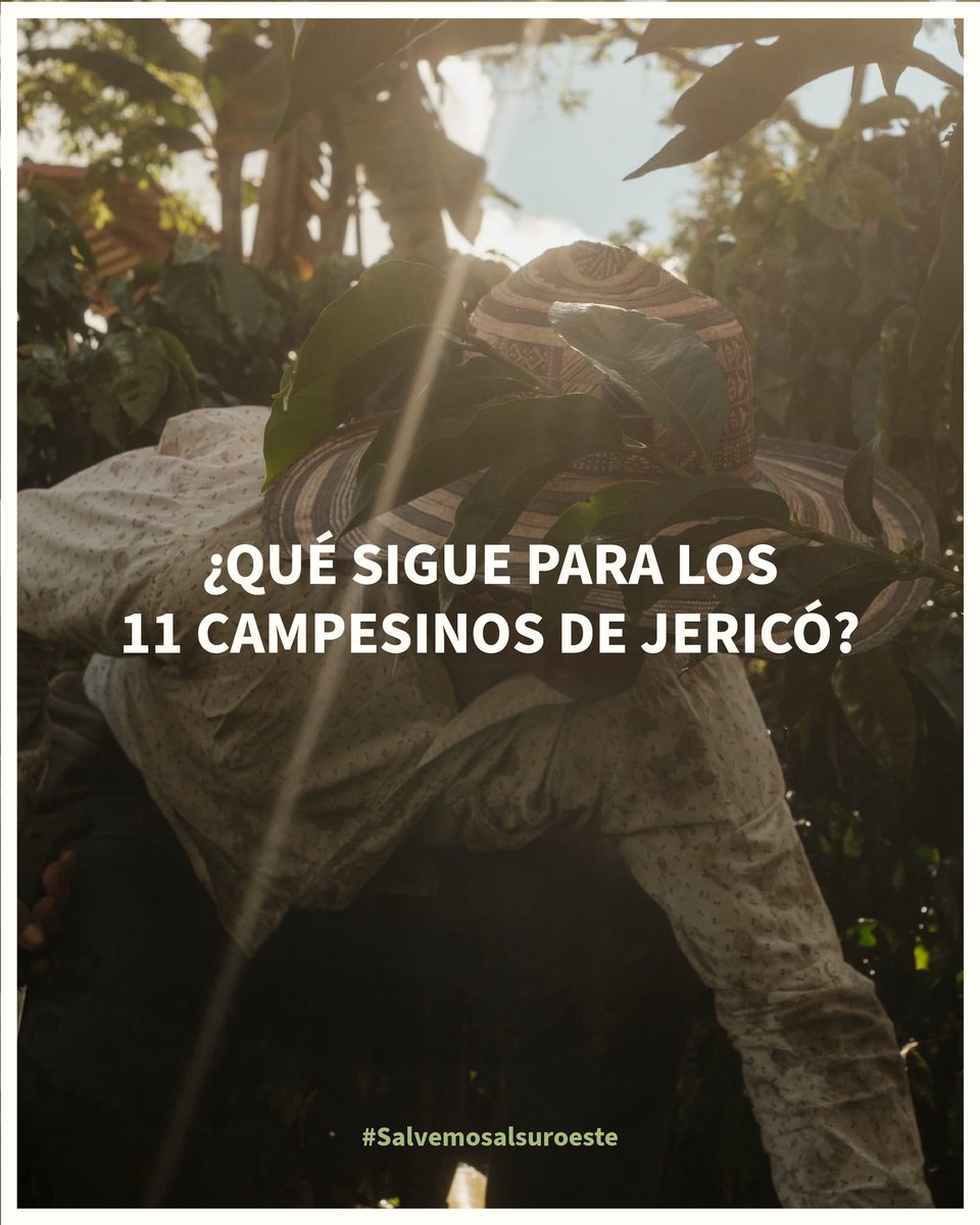 ¿Qué sigue para los 11 campesinos de Jericó? 👇🏼

Hoy pueden seguir cuidando sus montañas y fuentes de agua, pero el proceso judicial continúa.