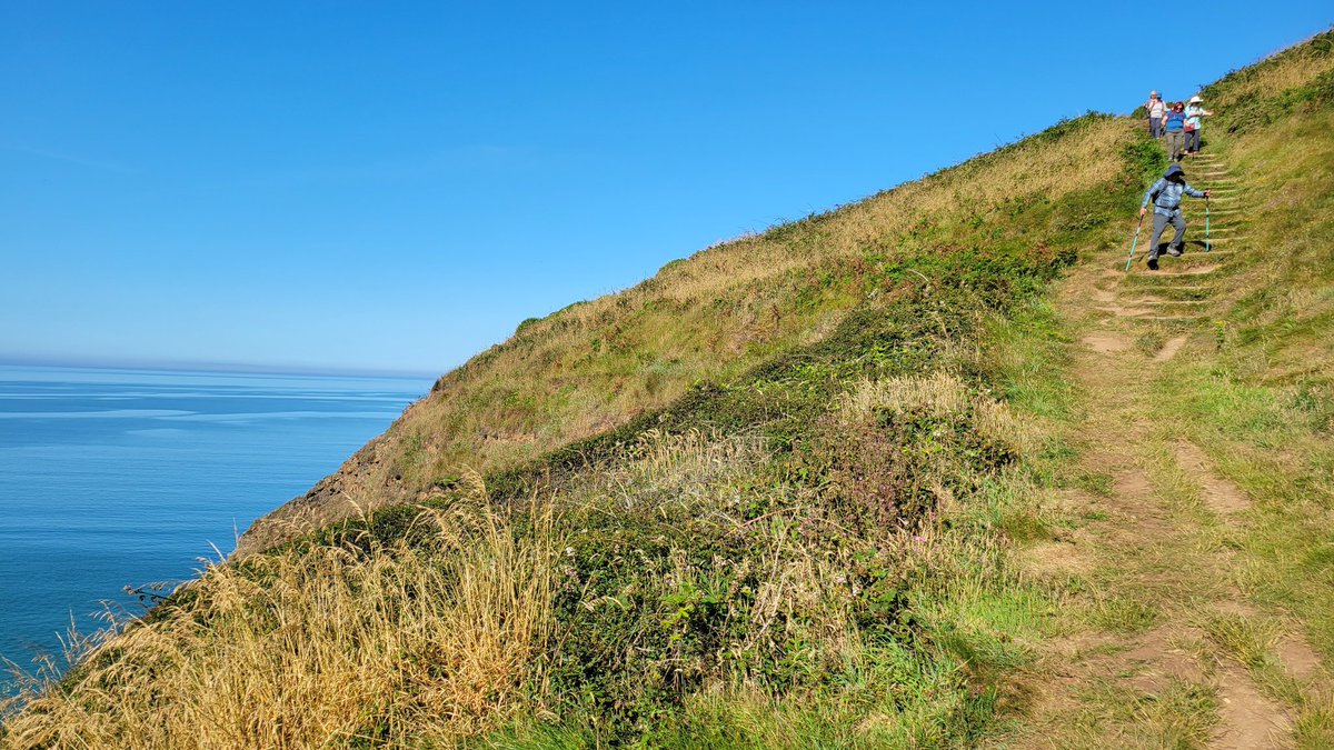 Charlie NJ7V tweet media