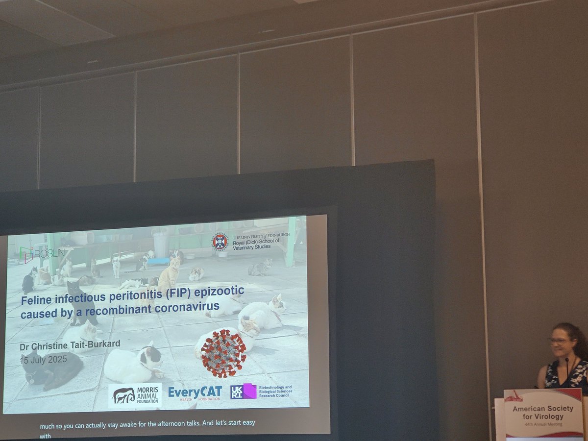 Federico De Angelis (@federicodeang12) on Twitter photo Ok, heere we go!
The <a href="/roslininstitute/">The Roslin Institute</a> scientists are BACK at it again at <a href="/AmerSocVirol/">American Society for Virology</a> annual conference 2025 with a masterful talk from <a href="/CTaitBurkard/">Christine Tait-Burkard</a> on FCoV-23 emergence in Cyprus. Oh, did I mention she got 2(!) Nature papers from this? Truly awesome stuff #asv2025 Ok, heere we go!
The <a href="/roslininstitute/">The Roslin Institute</a> scientists are BACK at it again at <a href="/AmerSocVirol/">American Society for Virology</a> annual conference 2025 with a masterful talk from <a href="/CTaitBurkard/">Christine Tait-Burkard</a> on FCoV-23 emergence in Cyprus. Oh, did I mention she got 2(!) Nature papers from this? Truly awesome stuff #asv2025