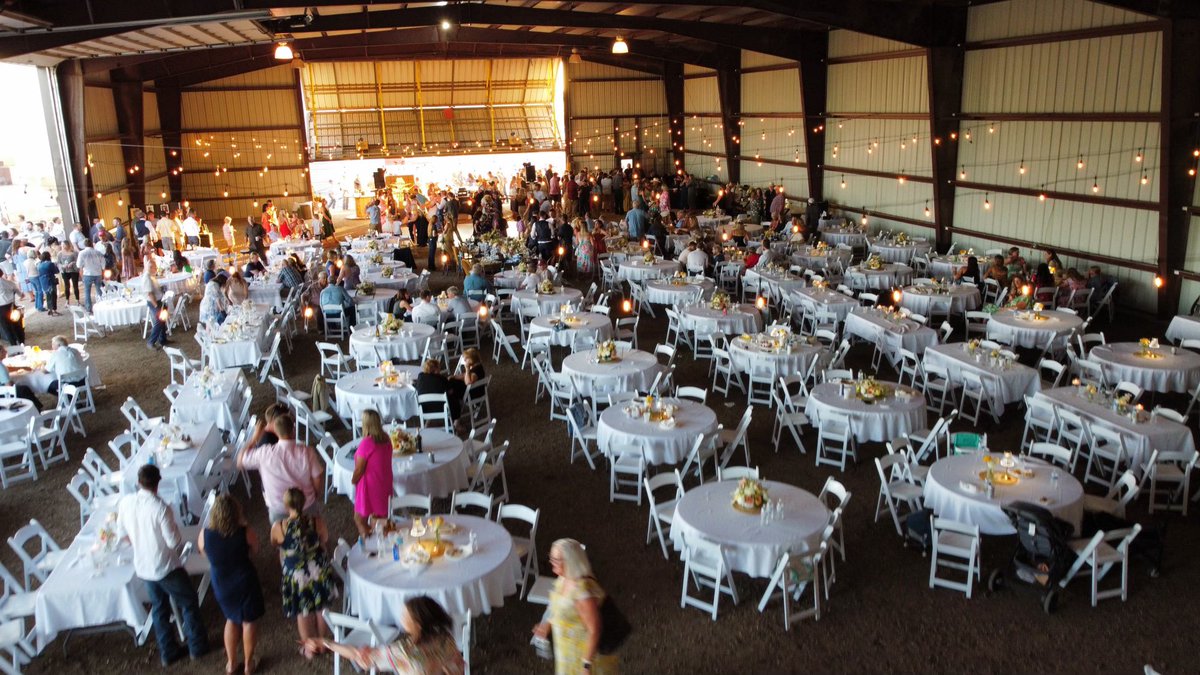 Curt Lee tweet media