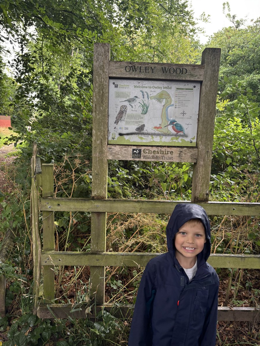Year 1 didn’t let a little bit of rain get in our way today as we walked and explored Owley Wood. What a beautiful place to have on our doorsteps