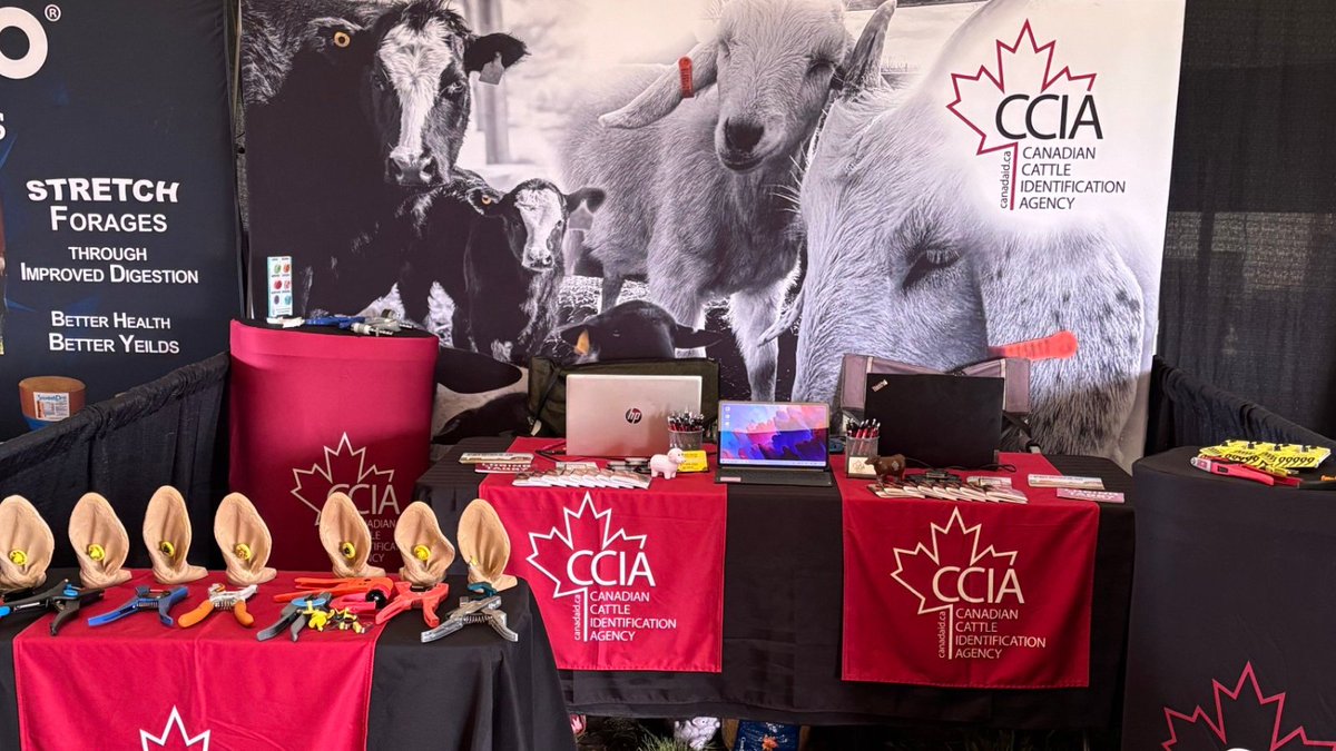 We're at #AgInMotion!
📍 Stop by Booth RP 23 to chat traceability, order tags &amp; take a quick survey for a chance to win a prize.
July 15–17 | Langham, SK
#CCIA #traceability