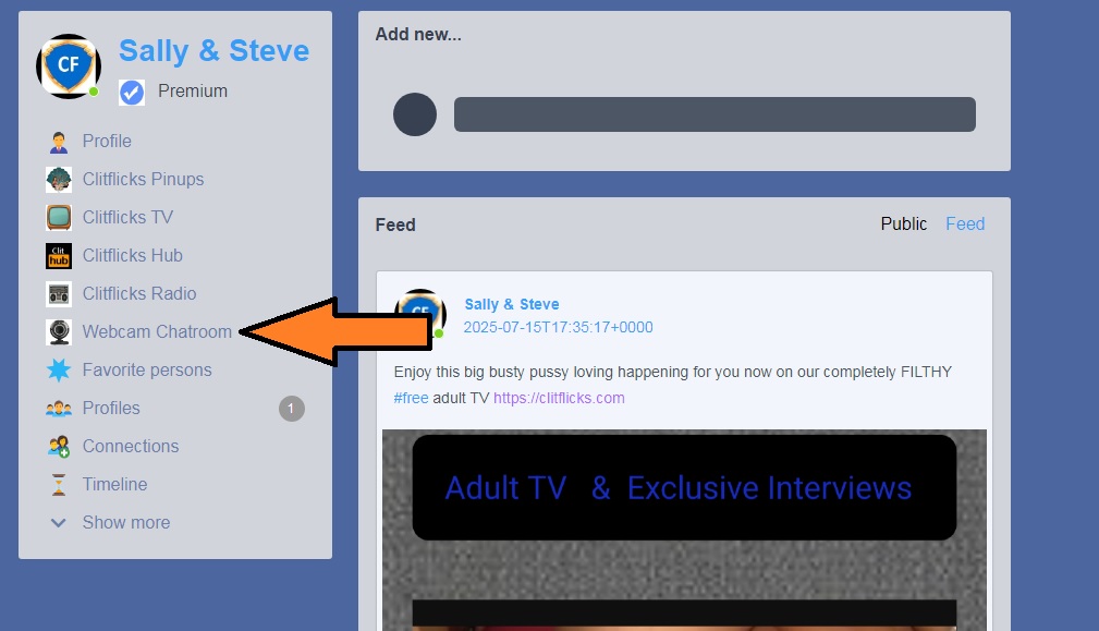 We have brought back the basic webcam chat

but don't forget you have private video chat 
one to one on here too.

Steve