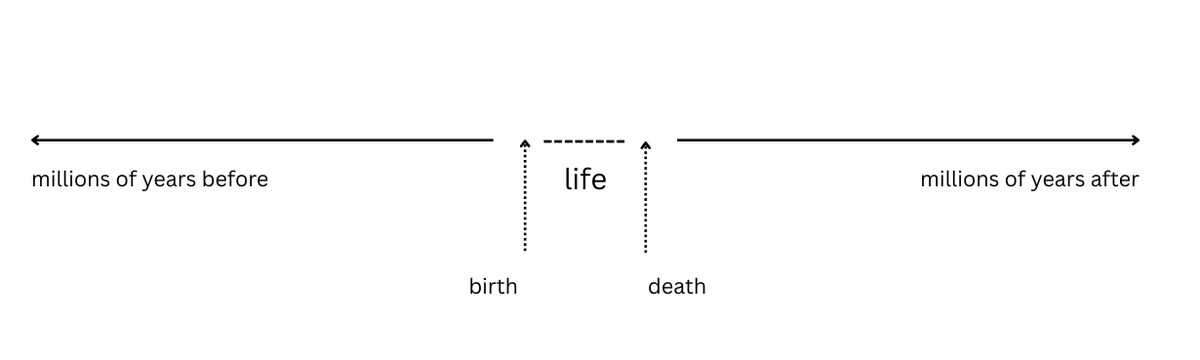 you were dead before you were born, you will be dead after you have lived: life is an anomaly