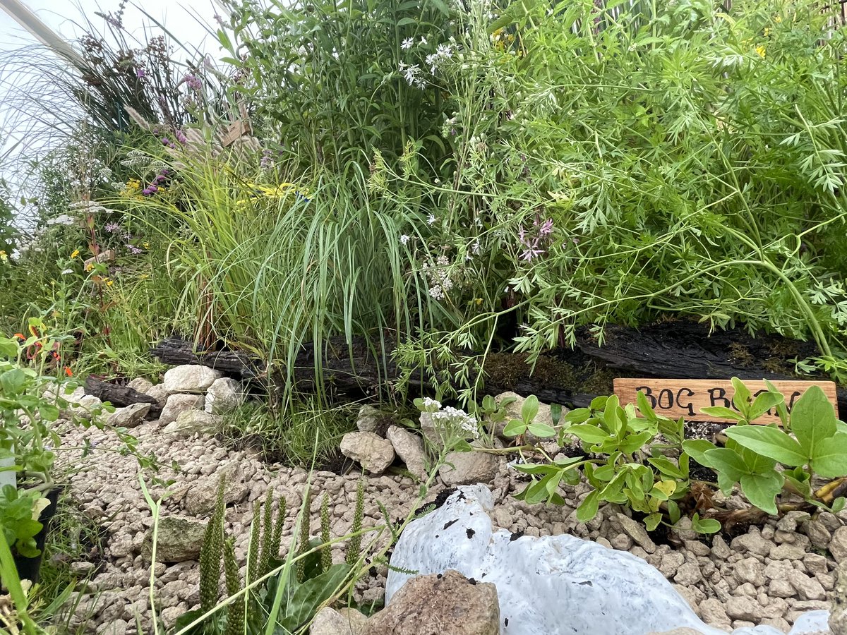 tophilllow (@tophilllow) on Twitter photo A bit of <a href="/YorkshireWater/">Yorkshire Water 💧</a> <a href="/tophilllow/">tophilllow</a> you haven’t seen before? Some sneak peaks of our brilliant wetland display in the horticulture tent at tomorrow’s <a href="/DriffieldShow/">Driffield Showground</a> - we’ll be giving talks at 2pm and 2:30pm and have plants for sale A bit of <a href="/YorkshireWater/">Yorkshire Water 💧</a> <a href="/tophilllow/">tophilllow</a> you haven’t seen before? Some sneak peaks of our brilliant wetland display in the horticulture tent at tomorrow’s <a href="/DriffieldShow/">Driffield Showground</a> - we’ll be giving talks at 2pm and 2:30pm and have plants for sale