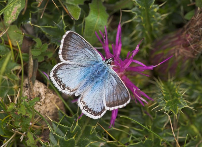 TreeHouseLearn's tweet image. New summer holiday workshops to the schedule! 🎉 - mailchi.mp/dce46877954a/s…