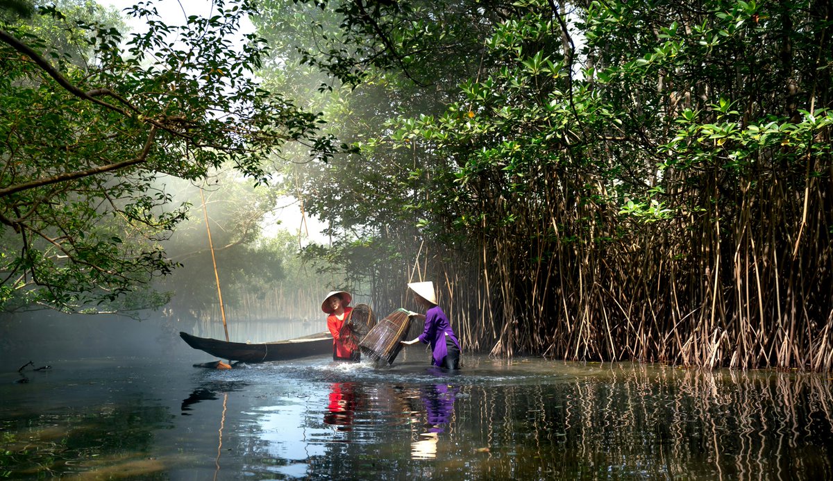 FriendsofEbA's tweet image. 🌿 The July #FEBA newsletter is out!

Highlights from SB62 &amp;amp; EbA Knowledge Day, and updates, opportunities, and collaboration from across the EbA community.
📬 Read now: shorturl.at/lMTsy
🖥️ Sign up for newsletter: shorturl.at/MDQGz

#EcosystemBasedAdaptation #EbA…