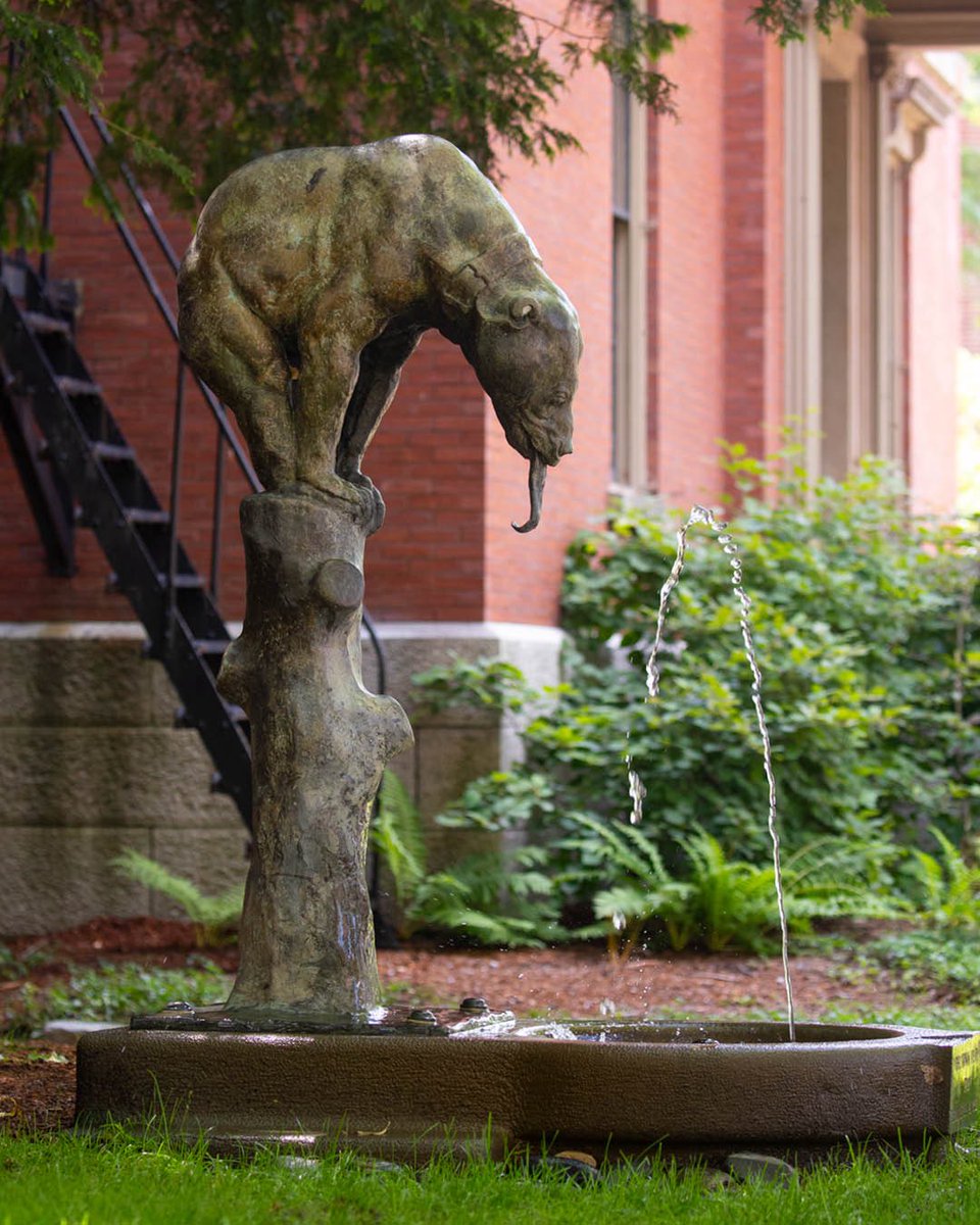 🐻 “Little Bear Fountain” is one of four outdoor bear statues that dot the Brown University campus in celebration of Brown’s mascot, Bruno. 

What’s your favorite bear statue on Brown’s campus?