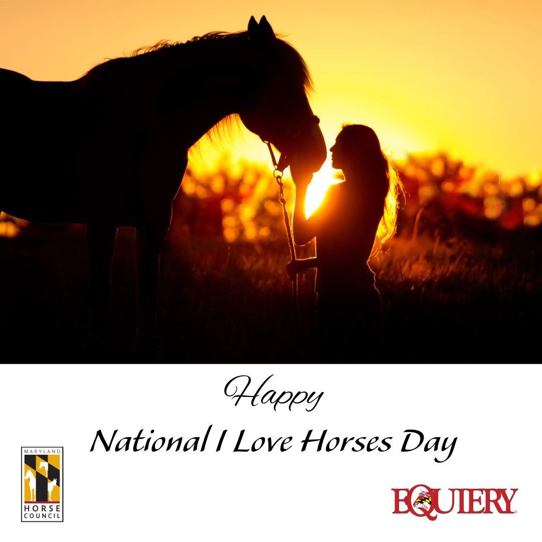 The Equiery (@equiery) on Twitter photo 