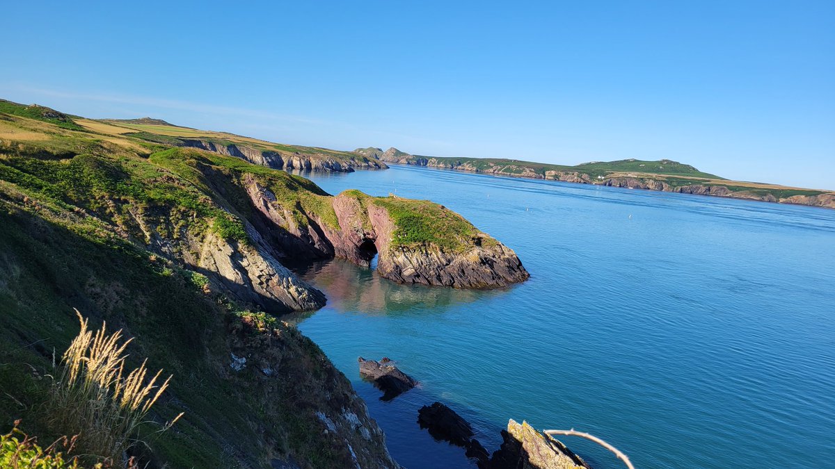 Charlie NJ7V tweet media