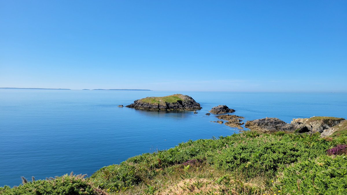 Charlie NJ7V tweet media