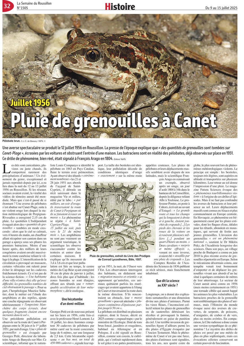 estevevalls's tweet image. [Autopromo]

Mon article dans La Semaine du Roussillon du 9 juillet 2025.

El meu article a La Semaine du Roussillon del 9 de juliol del 2025.
@canetRFC