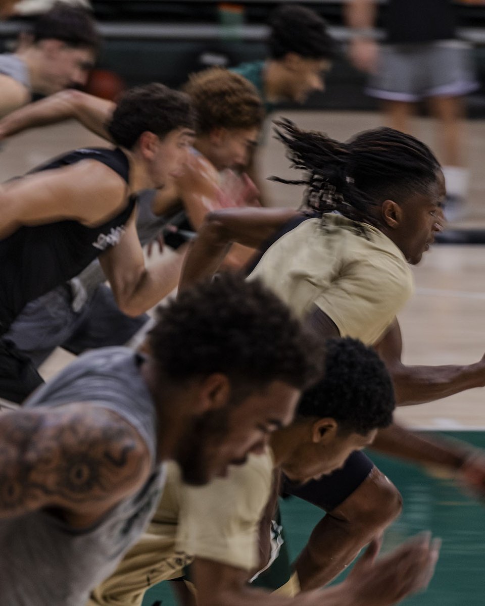 SacHornetsMBB's tweet image. Practice peeks 👀📸