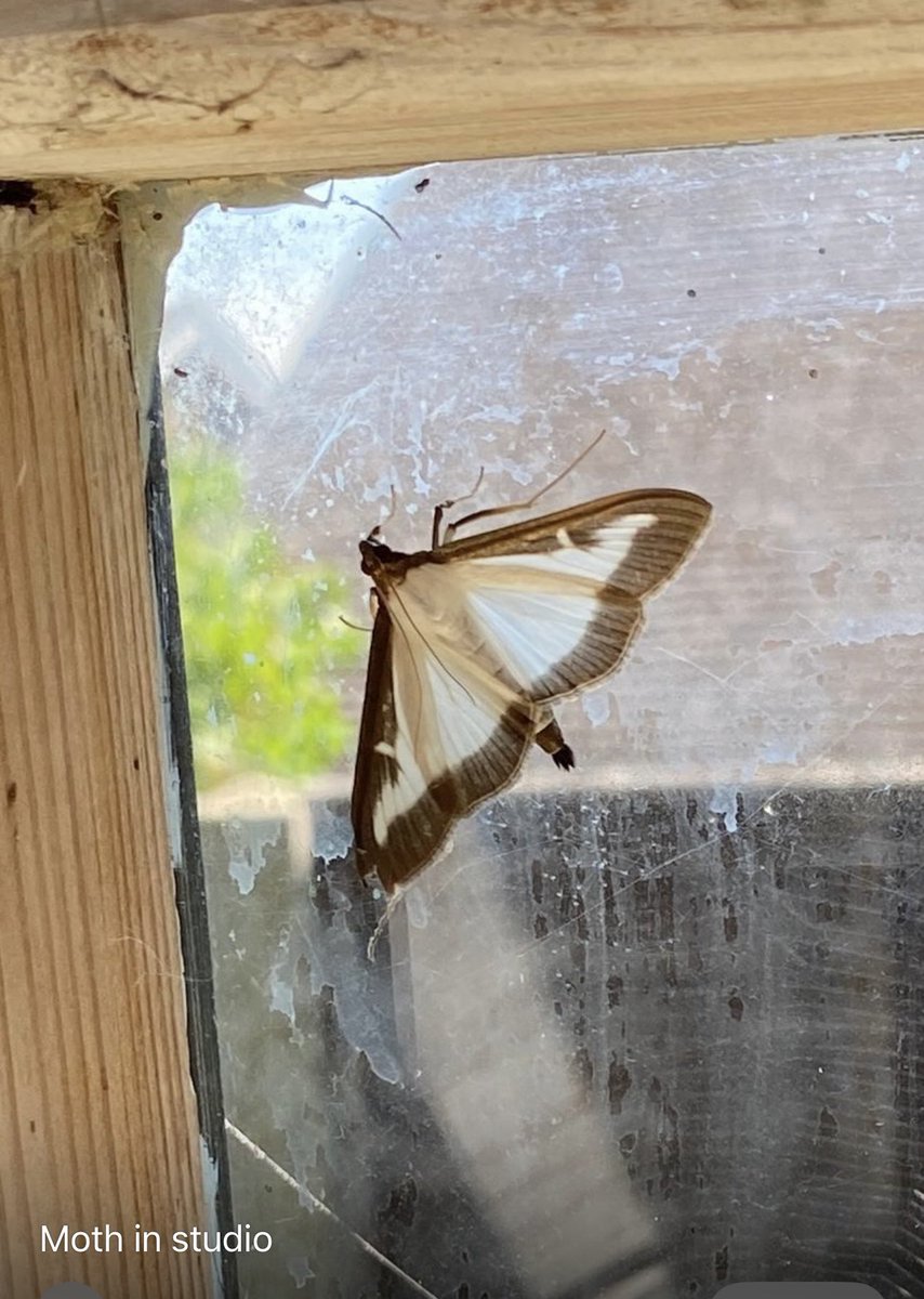 Had one in the studio this week