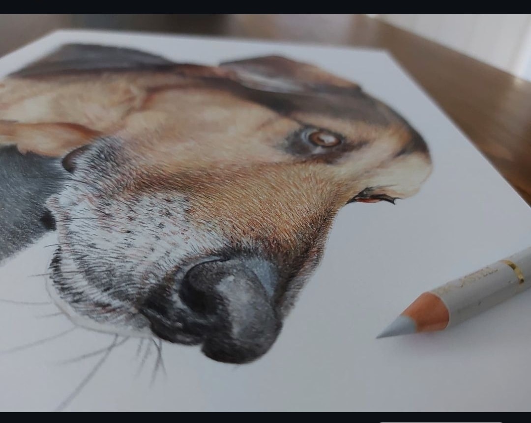 srh_sue's tweet image. July discount. Please see my pinned tweet for details
#drawing #art