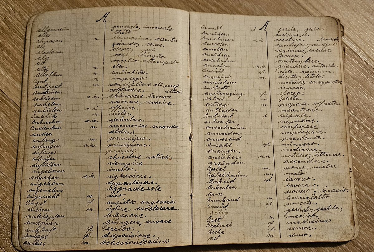 Was man alles so findet. Zum Beispiel das Kriegstagebuch meines Urgroßvaters, der im Ersten Weltkrieg gefangen genommen wurde und als Kriegsgefangener mehrere Monate auf Sizilien verbracht hat. Nach Ende des Krieges musste er von Sizilien zu Fuß nach Österreich laufen. Er hat