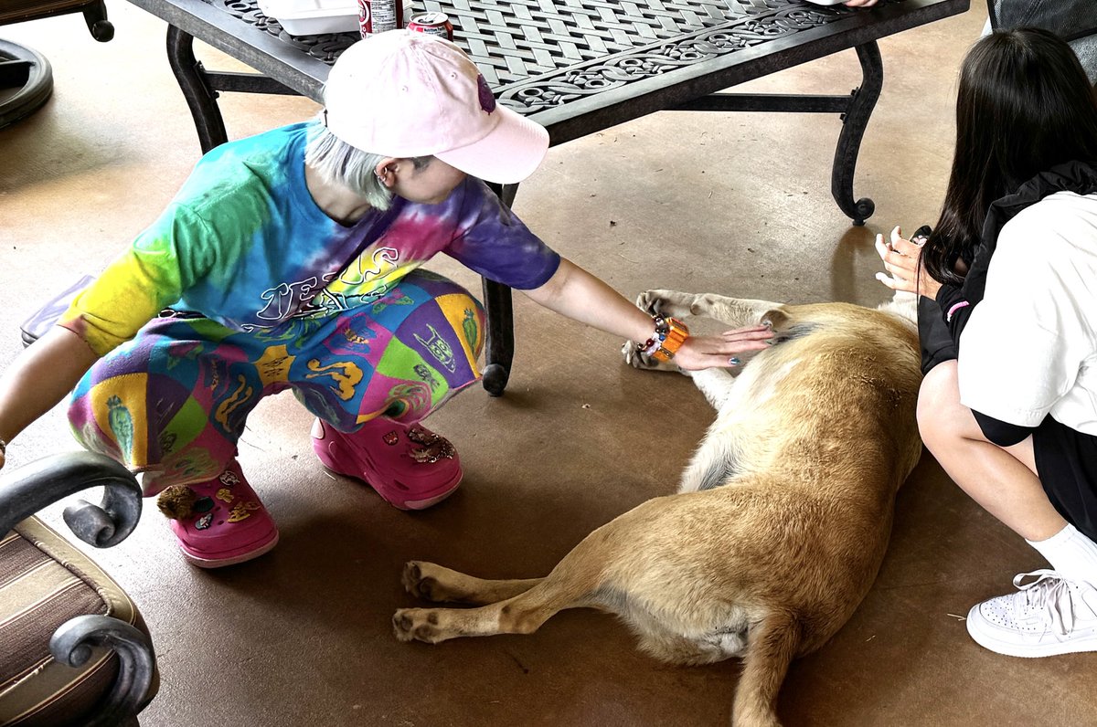 zacyuki's tweet image. rainbow dog lovers🌈🐶💕🇺🇸☁️