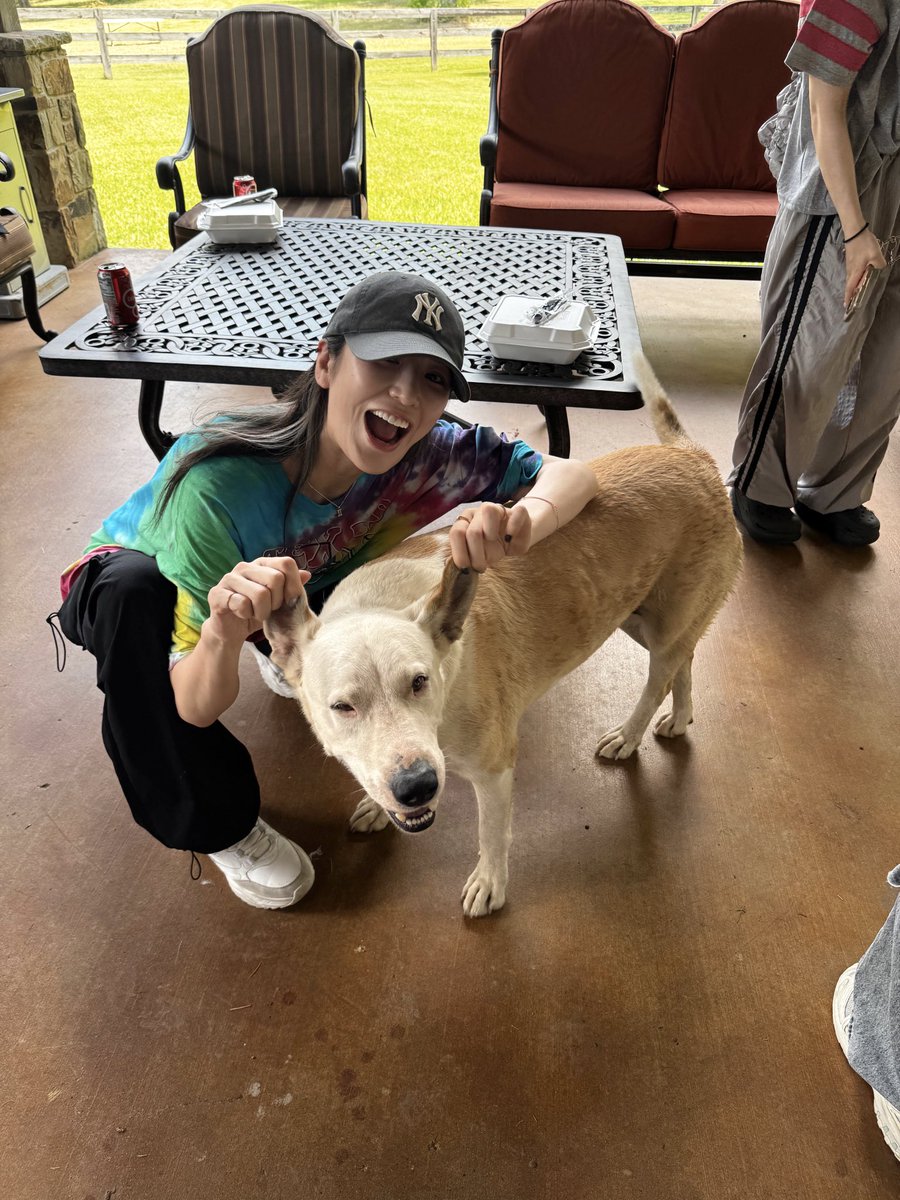 zacyuki's tweet image. rainbow dog lovers🌈🐶💕🇺🇸☁️