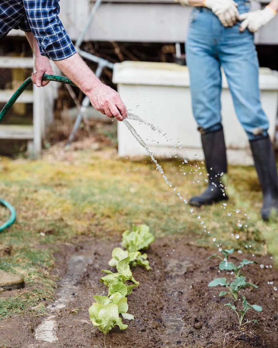 A garden hose left running can waste HUNDREDS of gallons in just one hour. A ½ inch garden hose can use 600+ gallons per hour—a ¾ inch hose nearly triple that.

See more outdoor water use tips ➡️  groundwater.org/conserve-prote…