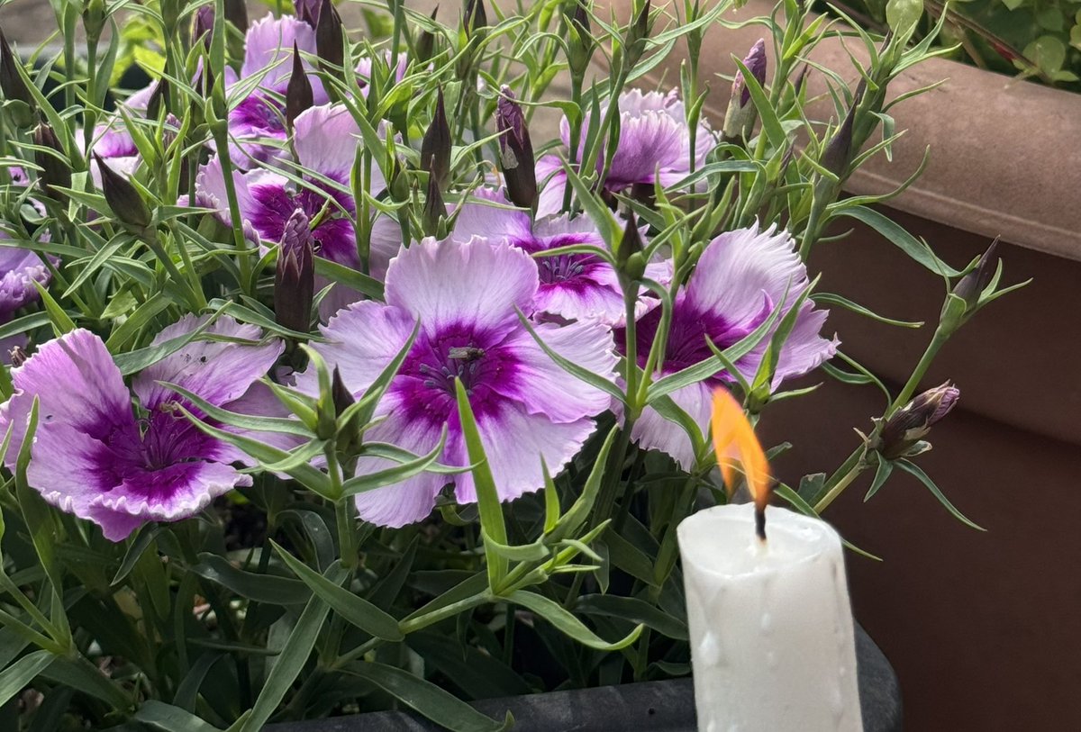 DrDMacaskill's tweet image. I light tonight’s #candleforcare on #GiveSomethingAwayDay mindful of the strength which comes from the #generosity of giving to others not least time and presence. #careaboutcare