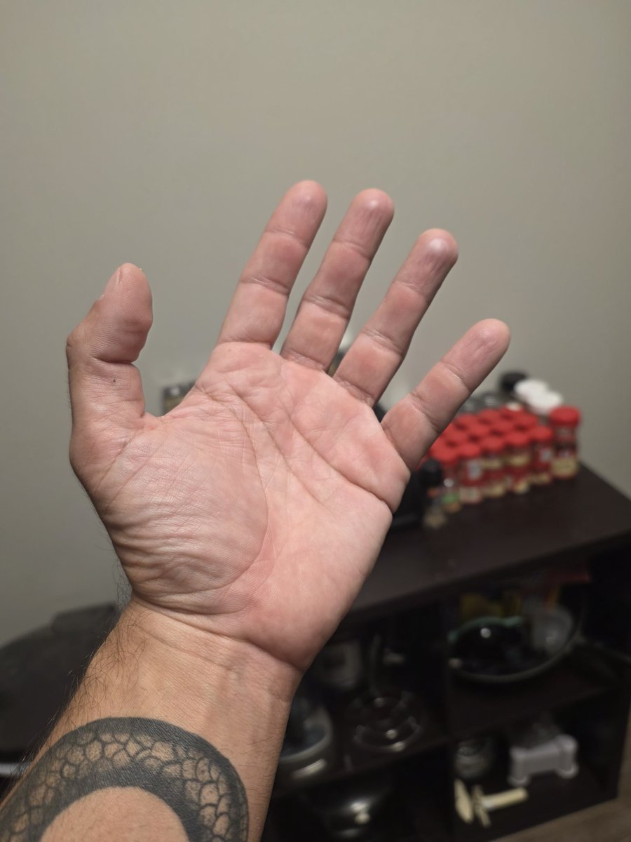 fight_nerdy's tweet image. Bit of an update. Think this might be the most functionally strong I have been in my life. Calisthenics mixed with weights has me feeling like I could suplex a train. My hands are starting to get some climbing calluses, which is pretty neat.

#training #workouts #fitness #health