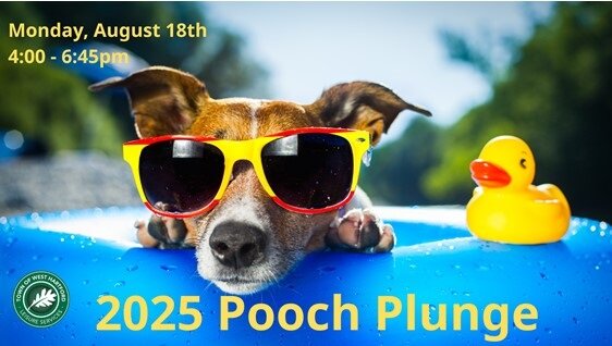 Mark your calendars for August 18, 2025! The Pooch Plunge returns to Beachland Park Pool for the annual dog swim fundraiser from 4:00 p.m. to 6:45 p.m. Bring your pup for a splash-filled evening with over 200 dogs and dog lovers, all supporting West Hartford Dog Park!